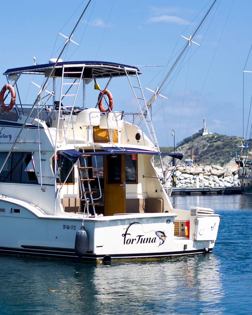 Puntos_0005_610ff7a5-80f3-41c8-975c-14d620f22c96