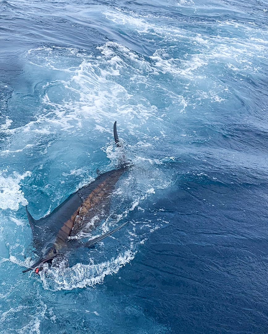 Sin título-1_0001_XBVU0585