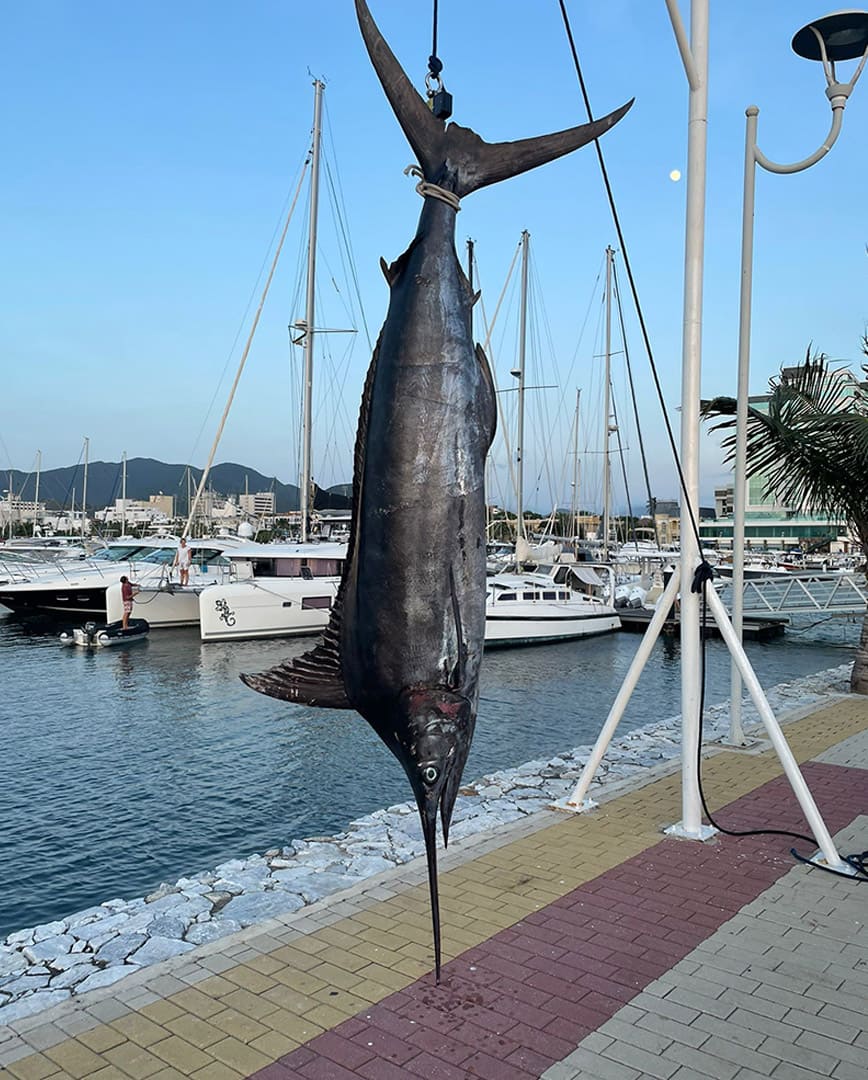 Sin título-1_0002_UIQF5000