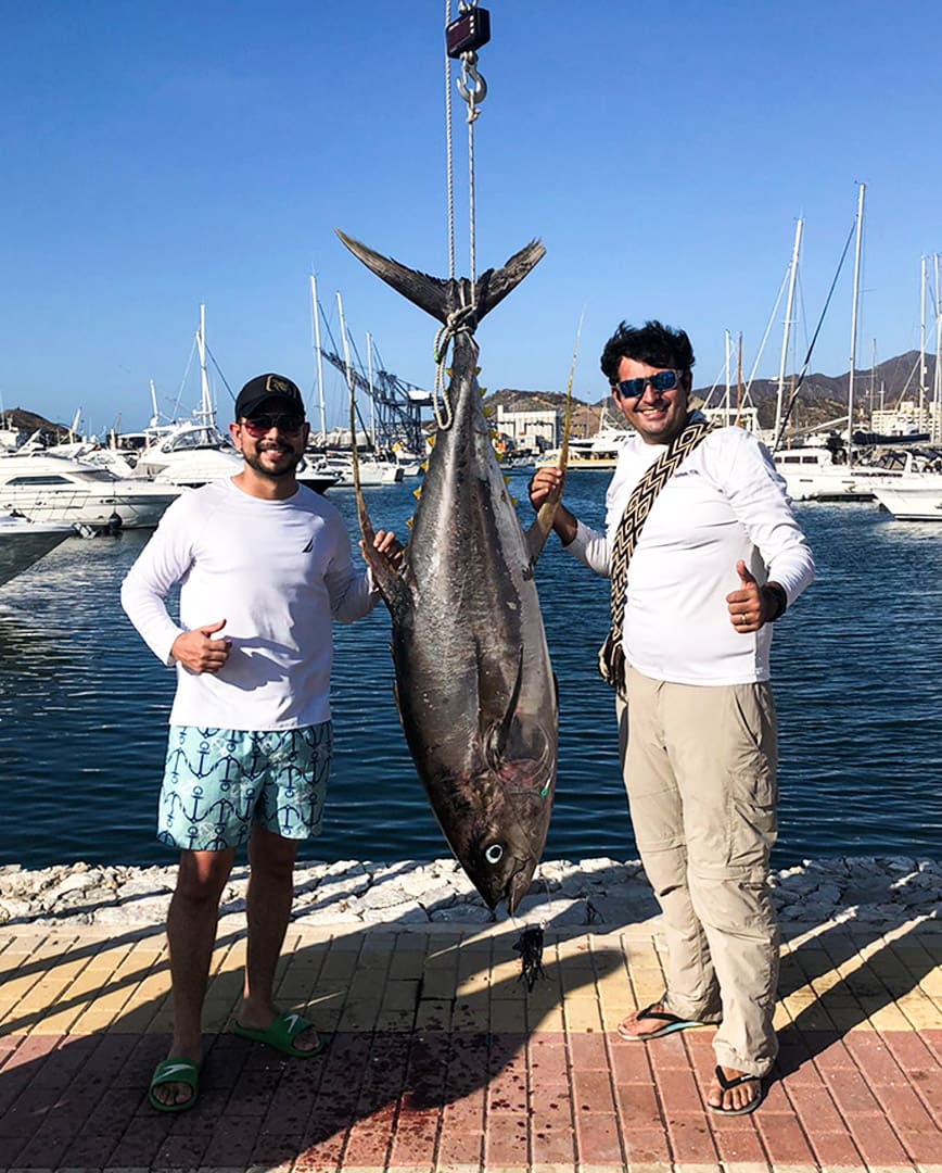 Sin título-1_0003_TWID3706