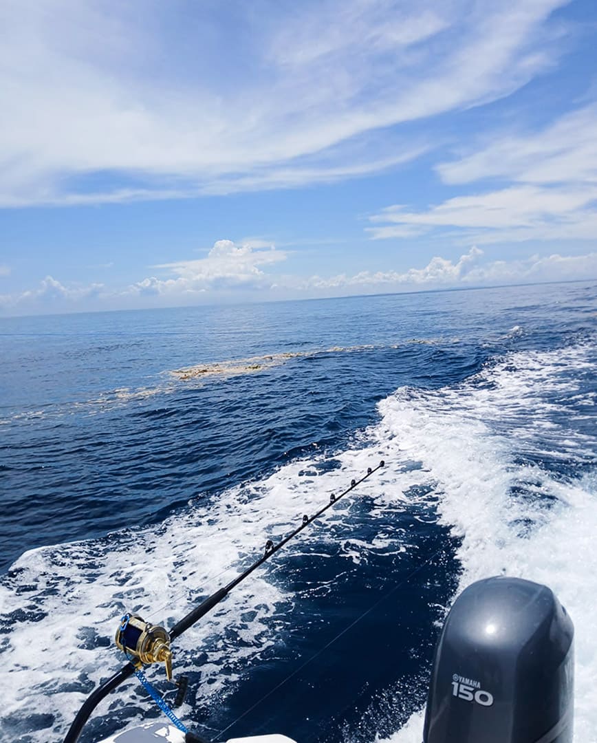 Sin título-1_0004_TWHE2654